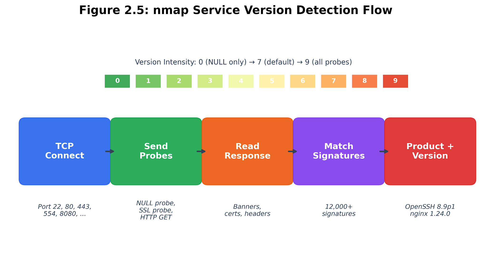 Figure 2.6. nmap service detection at work. A version probe reaches an open port, the response is matched against the probe database, and the result becomes a service-product hypothesis.
